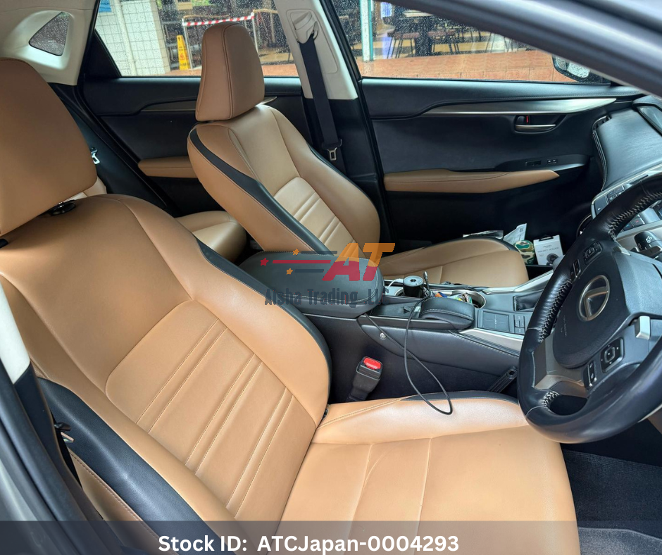 2015 Lexus NX200T Executive